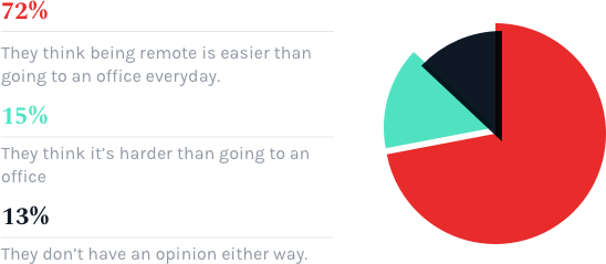 How do you feel most people perceive the lifestyle of being a remote worker?